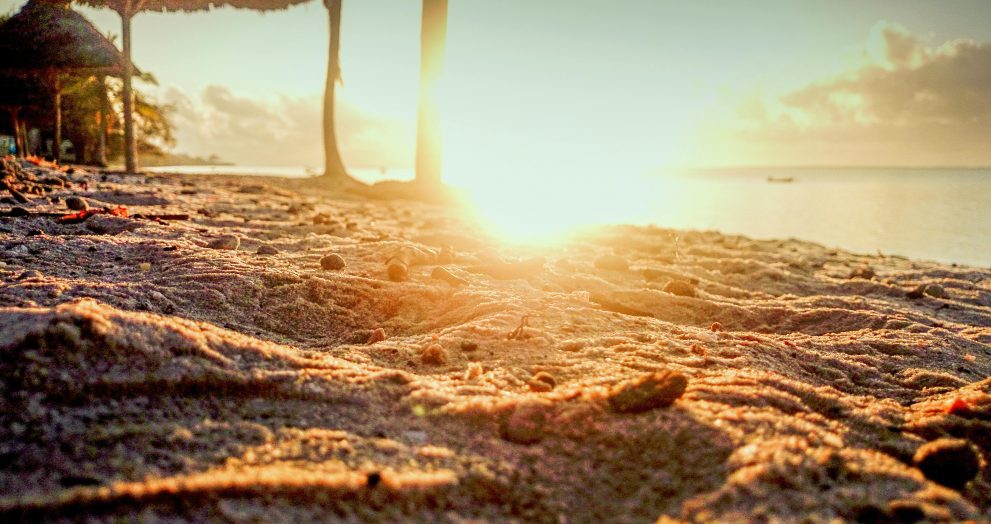 Albino-Monkey.net Travel Archives