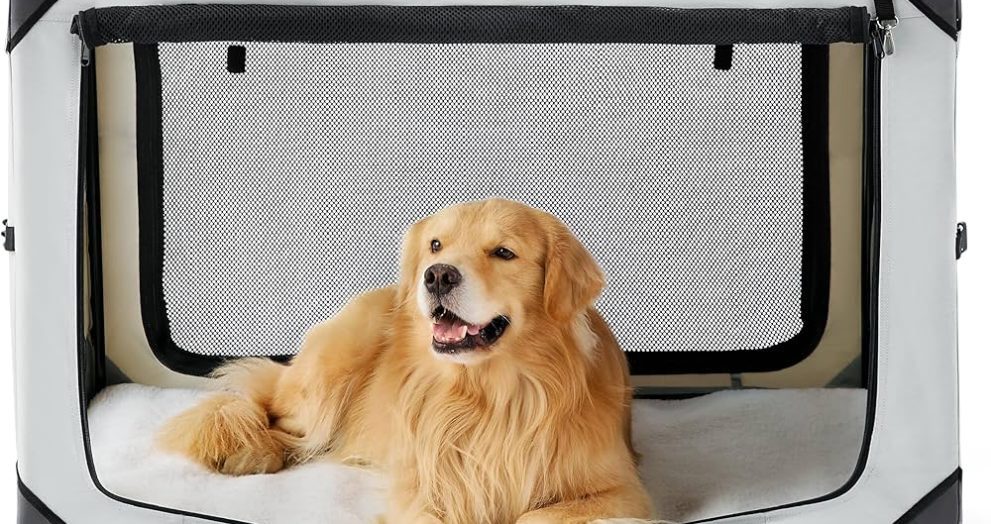 Travel Dog Crate