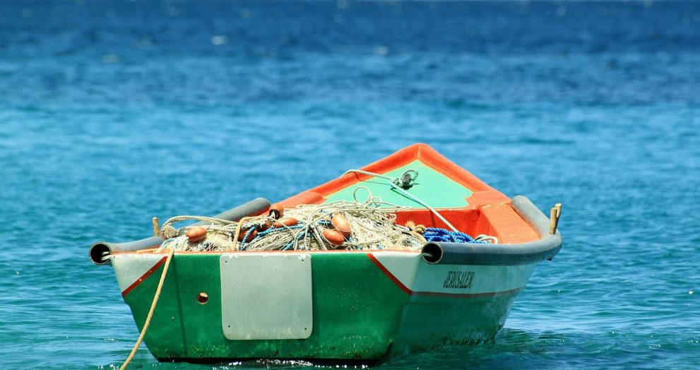 King Tours Sturovo Cruise