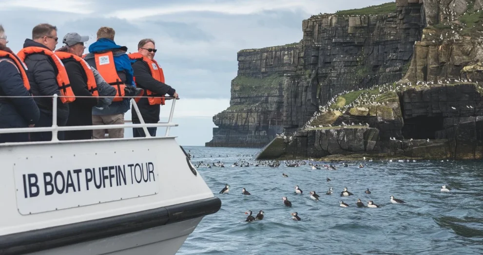 IB Boat Puffin Tour