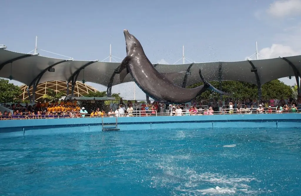 miami seaquarium