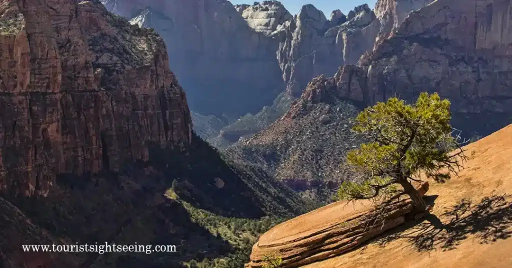 Canyon overlook trail in zion national park