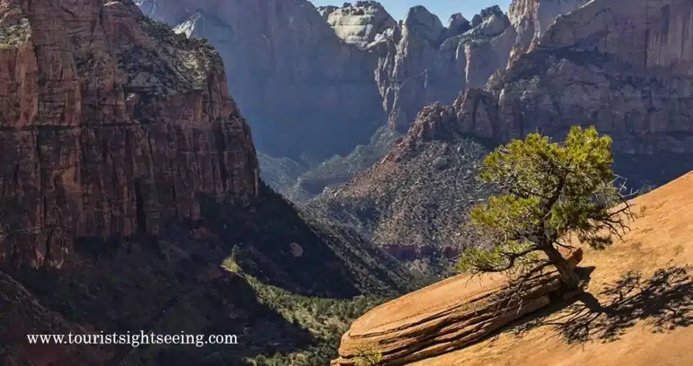 Canyon overlook trail in zion national park