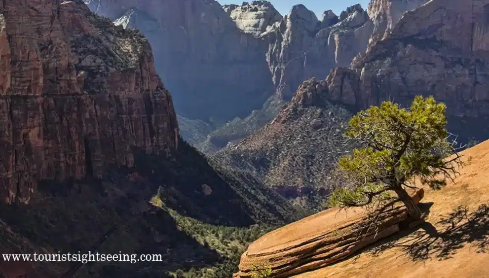 Canyon overlook trail in zion national park