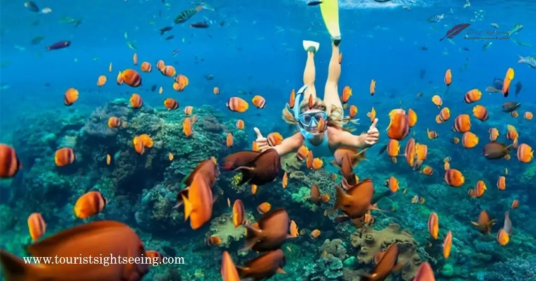 adventure and snorkling activities at Garrafon Reef Park