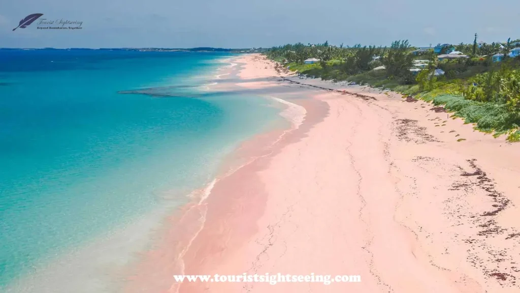 pink beach in komodo island