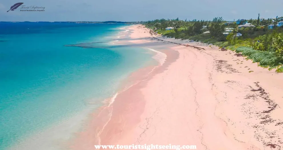 pink beach in komodo island